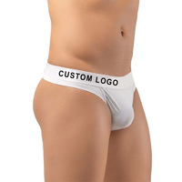 Culottes sexy pour hommes Slips pour hommes String sous-vêtements en string à vendre en gros ODM personnalisés