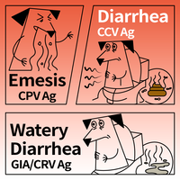 Tes Cepat Sampel Feses Hewan Peliharaan Satu Langkah untuk Mendeteksi Virus Usus Anjing, Parvo, Coronavirus, Giardia, dan Rotavirus