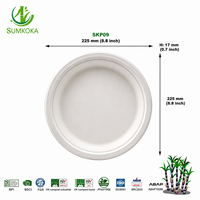 Assiettes jetables en bagasse de canne à sucre SUMKOKA sans PFAS, compostables et biodégradables, 9 pouces, assiettes rondes en bagasse