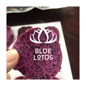 VENTE CHAUDE FRUIT DU DRAGON ROUGE SÉCHÉ EN VRAC NORME D'EXPORTATION DU VIETNAM SANS AJOUTER DE SUCRE COLLATION NATURELLE DE HAUTE QUALITÉ 2025 - Product Image 1