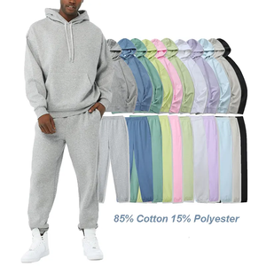 2024 printemps couleur personnalisée Chenille broderie survêtement hommes Slim Fit sweat à capuche survêtement ensembles - Product Image 1