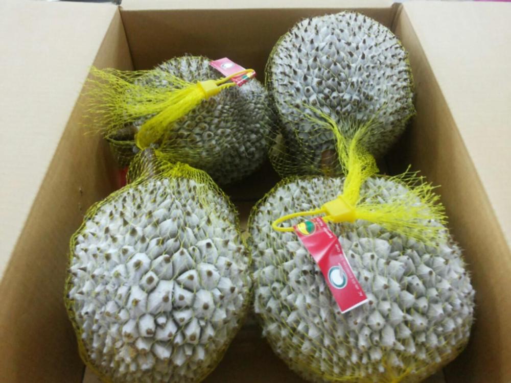 FROZEN DURIAN WHOLE PIECE RI6 FROM VIETNAM