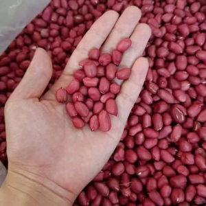 Cacahuetes Secos Naturales 100% Listos para Comer, 24 Meses de Duración, para Refrigerios, Grado Alimenticio, Venta Directa - Product Image 1