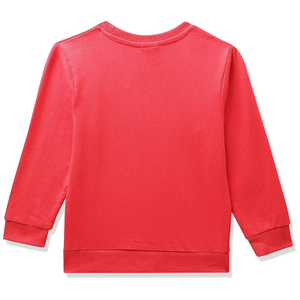 Sweat-shirt à capuche en coton pour enfants, sweat-shirt à capuche décontracté pour enfants, pour garçons, orienté vers l'exportation, avec logo personnalisé, sweat-shirt pas cher - Product Image 2