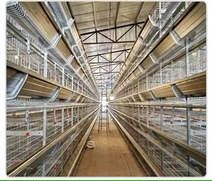 กรงเลี้ยงไก่แบบ H อัตโนมัติอุปกรณ์เลี้ยงสัตว์ชุบสังกะสีแบบจุ่มร้อนใหม่ jaulas Para gallponedoras - Product Image 3