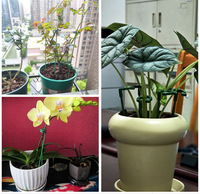 Piquets de Soutien pour Plantes DIY à Longueur Combinable, Extensibles, à Clipser, Pointus, pour Orchidées en Pot, Tomates et Légumes de Jardin