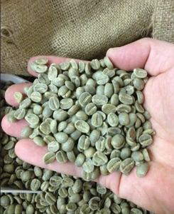 Granos de Café Verde Arábica Orgánico de Especialidad de Vietnam, Tamaño 18, Alta Calidad, Limpio, Negro, 0.1% de Grado de Grano Partido, Certificado por el USDA, Venta al por Mayor - Product Image 4