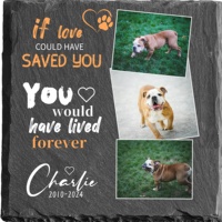 Plaque commémorative carrée personnalisable pour animaux de compagnie, en ardoise naturelle, avec photo, pour décoration intérieure et souvenir