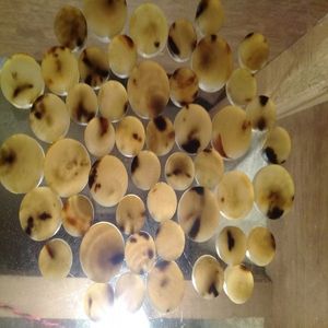 กระดุมกระดุมสแนปฮอร์นควายแท้แบบด้านหลังเรียบลายเลื่อมลายเขาสัตว์ธรรมชาติชุบสีเสื้อเปล่าผู้ผลิตอินเดีย - Product Image 4