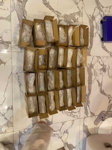 2025 nouveau fait à la main écologique Martini coquillage verre conque tasse à vin naturel plage fête de mariage décor de fête de mariage - Product Image 5