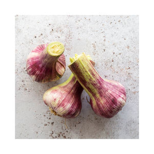 Ajo fresco al por mayor embalado en bolsas de malla y cajas de cartón para un fácil manejo - Product Image 1