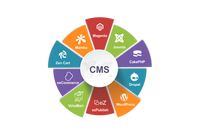 Service de gestion de contenu très demandé, dernière technologie de programmation et de développement, prix de gros disponibles, exportateur indien