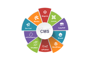 Servicio de gestión de contenido de artículos de Venta caliente con la última tecnología disponible a precio mayorista del exportador indio - Product Image 2