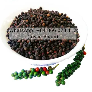 Épices et herbes au poivre noir du Vietnam, vente en gros, exportation d'importation européenne-WHATSAPP 0084 866 078 412