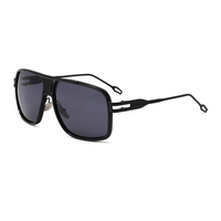 Lunettes de soleil de luxe tendance pour hommes et femmes, protection UV, vente en gros directe d'usine OEM, collection 2026