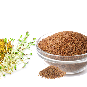 Semillas de Alfalfa Orgánicas Forraje Verde para Granjas Orientadas A LA Exportación de Ganado - Product Image 4