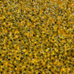 เฟรสก์2024พร้อมเมล็ดเสาวรสแช่แข็งออร์แกนิก - Product Image 3