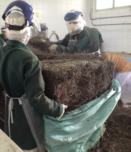 Gelatina de hierba tradicional de Vietnam con material de extracto de hoja, lo mejor para mezclar bebidas y platos dulces - Product Image 5