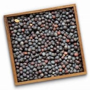 Livraison en gros de graines de canola biologique pur disponibles au prix du marché - Product Image 6