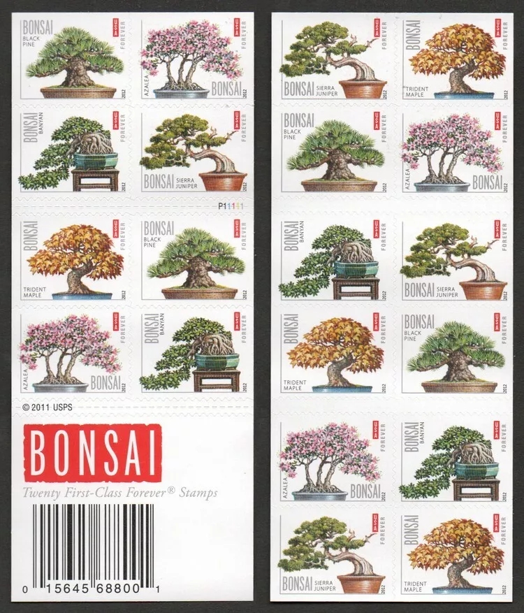 2012Árbol bonsái500374-F1-52-12PJ