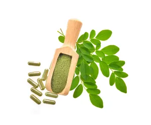 Großhandel Hochwertiges Moringa Pulver Bulk Moringa Blatt pulver Premium Preis Gut für Gesundheit und Zucker Patienten Moringa Pulver