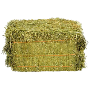 Meilleur prix vente sur la luzerne Timothy Hay Feed Premium Animal Feed pour Cheval Chien Bovins Moutons Aliments séchés dans un emballage en sac - Product Image 6