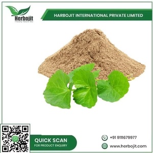 ผงเรืองแสงธรรมชาติ Gotu Kola (mandukaparni) ยาอายุรเวทแบบดั้งเดิมสำหรับสุขภาพจิต - Product Image 3