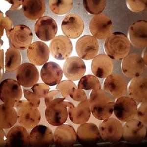 Botones de Cuerno de Búfalo Hechos a Mano, Color Negro y Marrón, Botones de Cuerno de Vaca Real para Decoración de Ropa con Logotipo Personalizado - Product Image 6