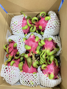 Fruta de dragón rojo al por mayor de Vietnam pitaya roja pitahaya para exportación - Product Image 5