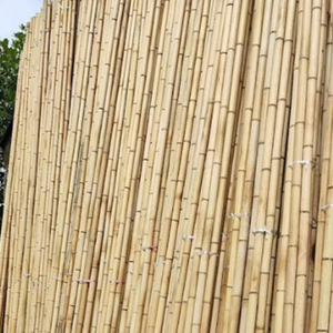 Postes de Bambú de Alta Calidad para Cercas Exteriores |   Fuerte, Ecológico y Duradero |   Suministro OEM ODM - Product Image 4