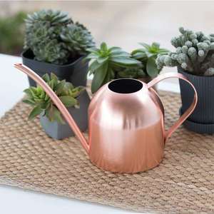 Regadera de Metal duradera con caño largo y gran capacidad para plantas de jardín al aire libre, flores de interior, riego de césped de balcón - Product Image 1