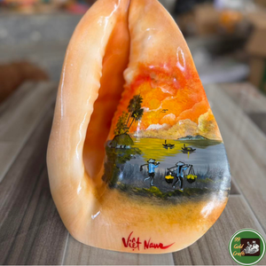 Décoration personnalisée en coquillages, utilisant des coquillages véritables pour l'artisanat décoratif et les souvenirs en provenance du Vietnam - Product Image 4