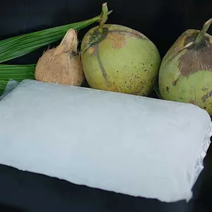 越南低价冷冻椰子水批量出口