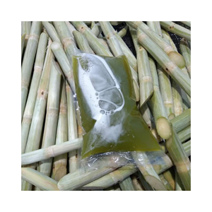 El jugo de caña de azúcar congelado IQF mejor vendedor de Vietnam precio barato y alta calidad - Product Image 6