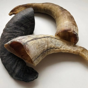 Huesos y Cuerno naturales de alta calidad Hueso relleno carnoso natural de larga duración para perros Chew Treat color personalizado y tamaño personalizado - Product Image 1