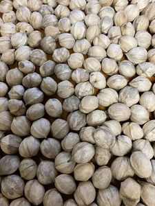 ถั่วฮิกกอรีเปลือกดิบ - Product Image 6