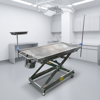 Table d'opération vétérinaire électrique en acier inoxydable 304, lit de chirurgie pour animaux de petite taille pour hôpital vétérinaire, pédale ACS02