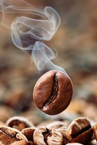 Granos de café de alto dulce y equilibrado de Vietnam para exportación Granos de café verde Robusta Premium - Product Image 6