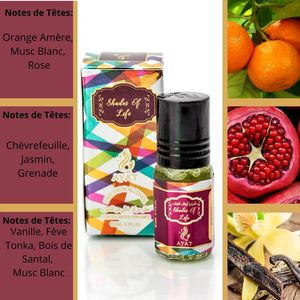 Parfum à l'huile Shades of Life 3ml par Ayat Perfumes Dubai Arabic Scent pour hommes et femmes sans alcool - Product Image 3