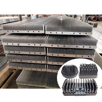 Dissipateur thermique en aluminium extrudé pour véhicule, dissipateur thermique en aluminium de 1000 mm avec usinage CNC, profil de refroidissement en aluminium