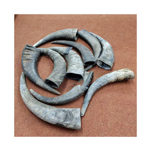 Cuerno de búfalo natural a precio económico, organizado para compras al por mayor - Product Image 5