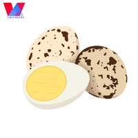 425g Œufs de caille cuits en conserve, en saumure/eau salée, processus de nettoyage, longue durée de conservation, export Vietnam / Marque Viet Delta Lily