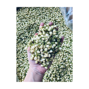 Bourgeons de jasmin stockés dans un état sec pour les entreprises de thé et de boissons préparant des infusions ou des mélanges dans de plus grands formats de lots - Product Image 4