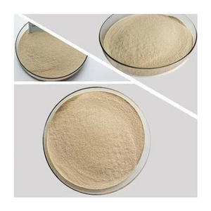 เอนไซม์อัลคาไลน์โปรตีเอสเกรดอาหารสำหรับผงซักฟอก - Product Image 2