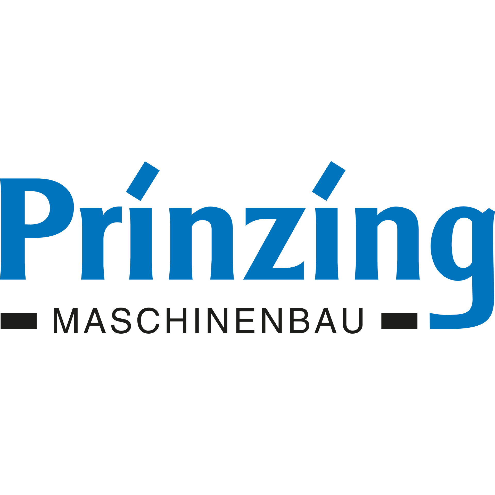 Peter Prinzing GmbH logo