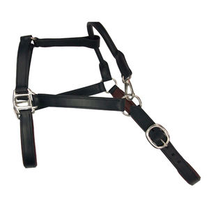 Halter de Entrenamiento Diario Premium, Hecho a Mano, Cómodo, de Cuero para Montura Inglesa, Ajustable, Duradero, Acolchado Suave, Diseño Elegante - Product Image 2