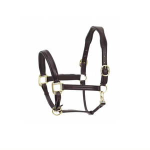 Un fournisseur indien propose un licou en cuir marron de style selle anglaise avec raccord de basse uni au design surélevé - Product Image 3