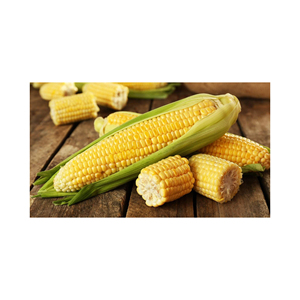 Maïs jaune séché de qualité supérieure de meilleure qualité 100% maïs séché jaune au prix de gros - Product Image 3