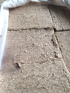 Virutas de Madera de Pino 100% Naturales, Color Amarillo Claro, Precio Competitivo, para Mascotas como Hámsteres - Product Image 5