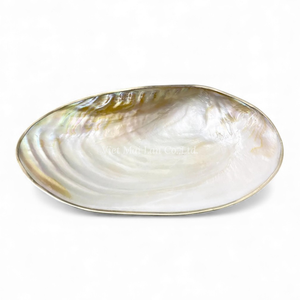 จานเปลือกหอยมุกธรรมชาติสำหรับตกแต่ง ใช้เสิร์ฟของหวาน และโชว์เครื่องประดับ ผลิตในเวียดนาม - Product Image 1
